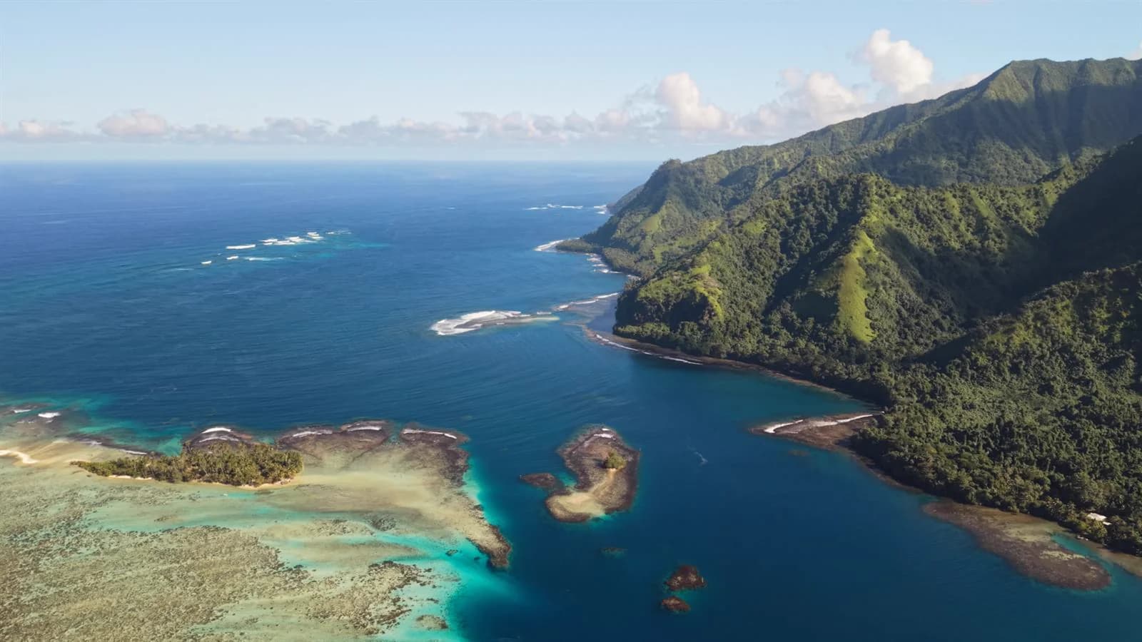 Journée complète baleines et Teahupo'o