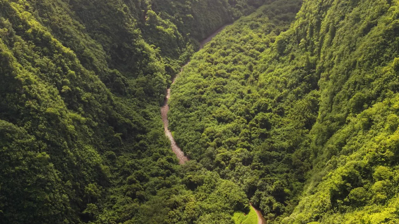 Vallée verdoyante de la presqu'île