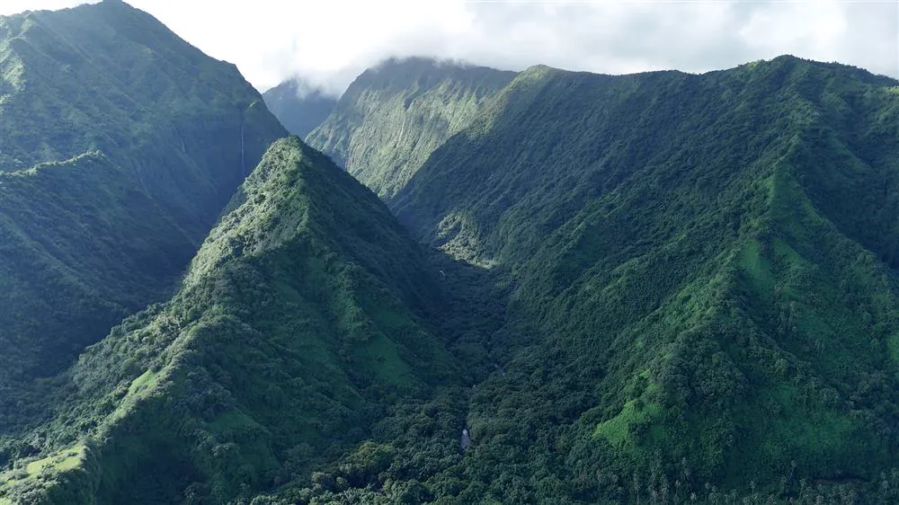 Les montagnes verdoyantes de la presqu'ile