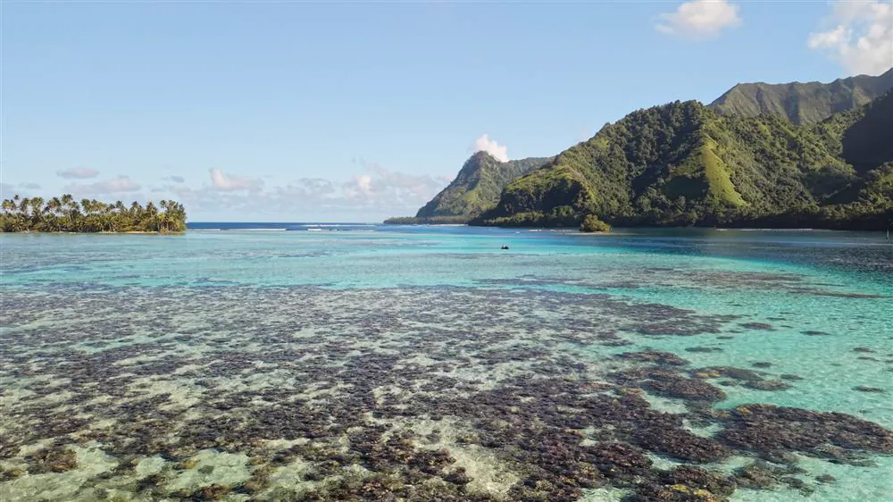 Lagon turquoise et jardins de corail